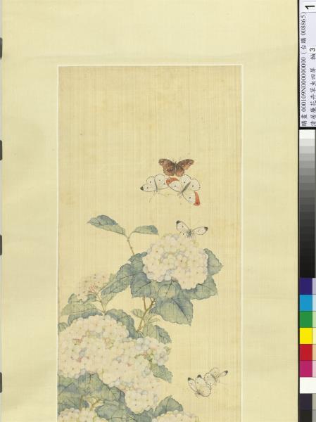 清居廉花卉草蟲四屏　軸　繡球蝴蝶