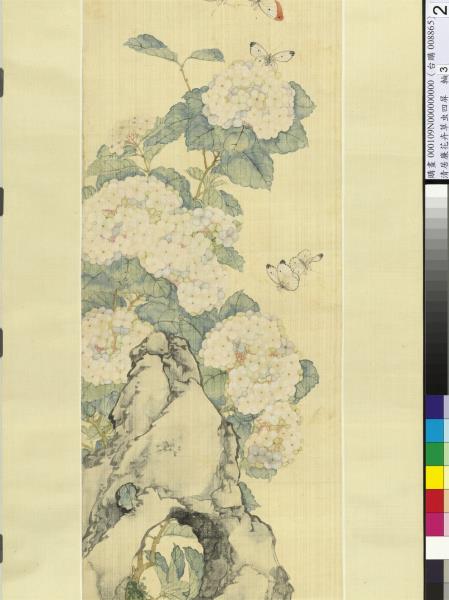 清居廉花卉草蟲四屏　軸　繡球蝴蝶