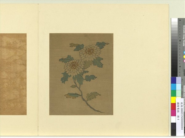 鏤繪集錦　冊　菊花