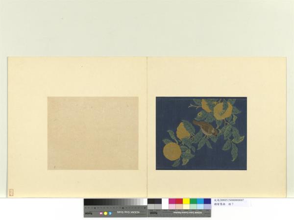 鏤繪集錦　冊　山果寒禽