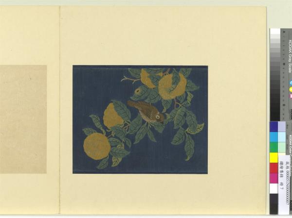 鏤繪集錦　冊　山果寒禽