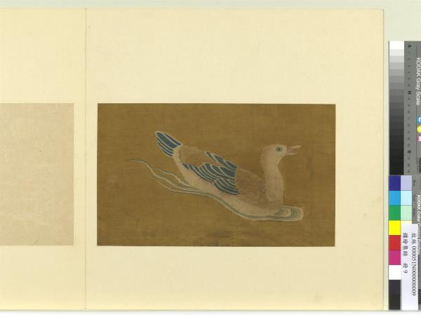 鏤繪集錦　冊　鴨