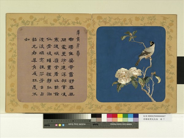 清繡線閬苑長春　冊　犀角千苞