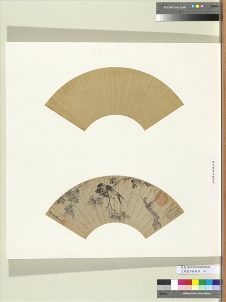 明沈周畫杏林飛燕　冊頁