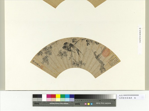 明沈周畫杏林飛燕　冊頁
