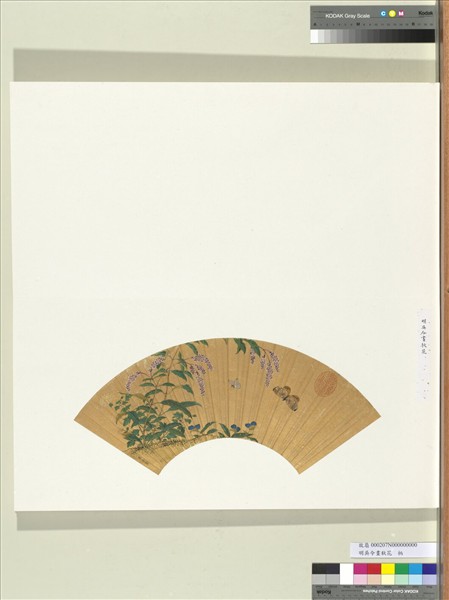 明吳令畫秋花　冊頁