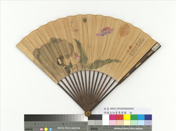 明趙文俶畫鶯栗圖　成扇