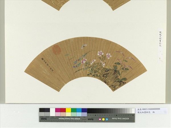 明趙文俶畫秋花　冊頁