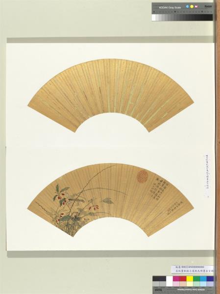 明呂紀畫秋林小鳥　冊頁