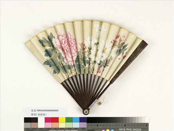 清人花卉　成扇