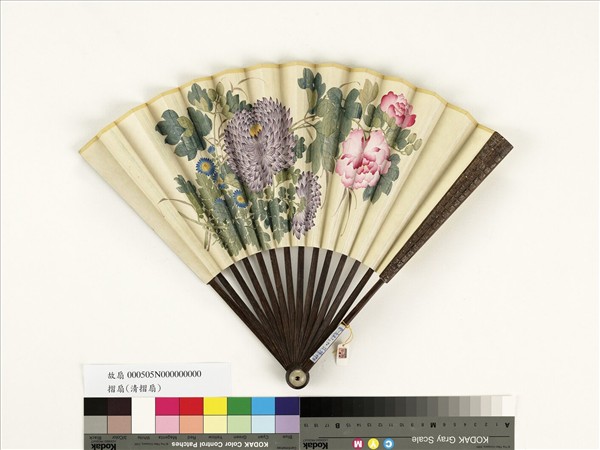 清人花卉　成扇