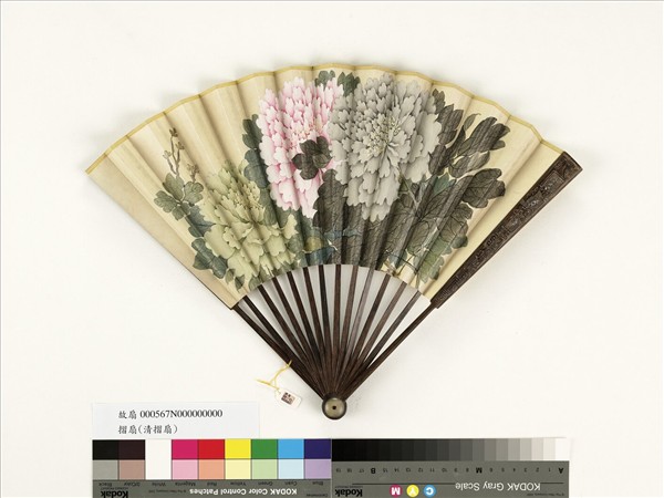 清人花卉　成扇