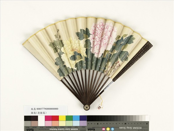 清人花卉　成扇