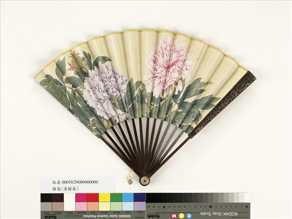 清人花卉　成扇