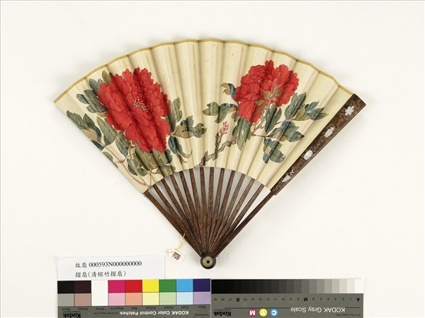 清人花卉　成扇
