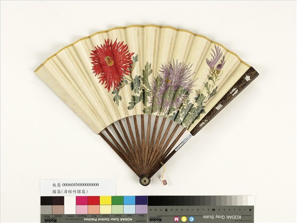清人花卉　成扇
