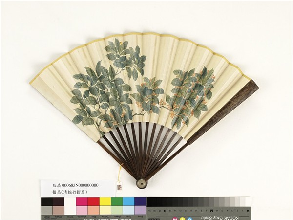 清人花卉　成扇
