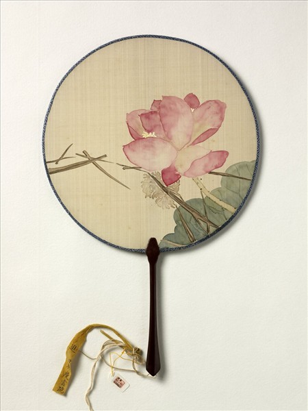 清人畫荷花　成扇