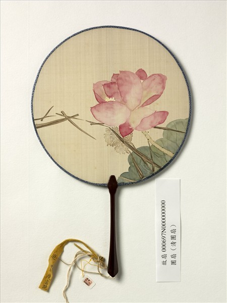 清人畫荷花　成扇