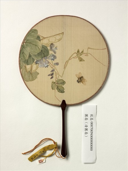 清人畫草蟲　成扇