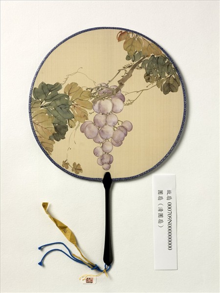 清人畫葡萄　成扇