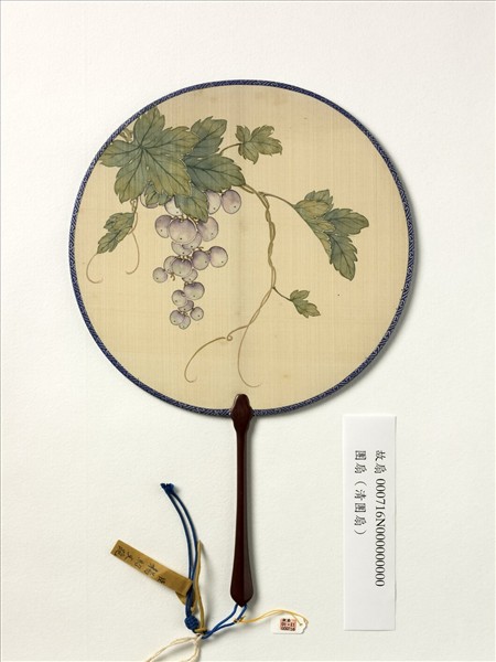 清人畫葡萄　成扇