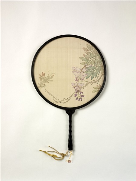 清人畫紫藤　成扇