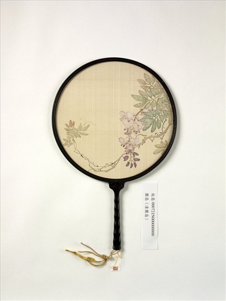 清人畫紫藤　成扇