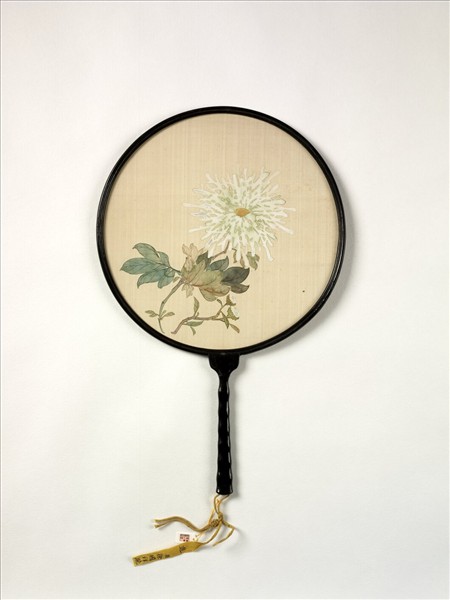 清人畫菊　成扇