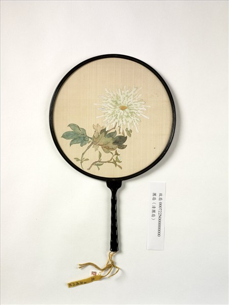 清人畫菊　成扇