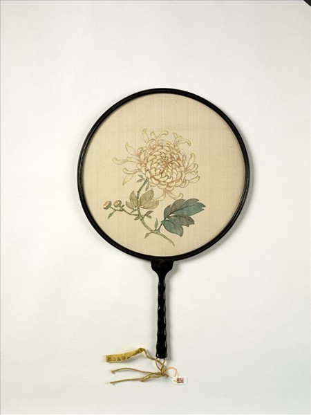 清人畫菊　成扇