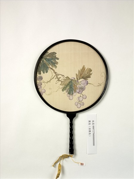 清人畫葡萄　成扇