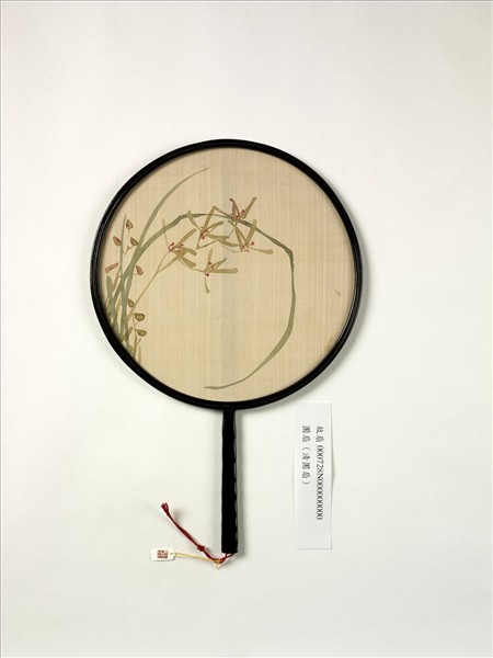 清人畫蘭　成扇