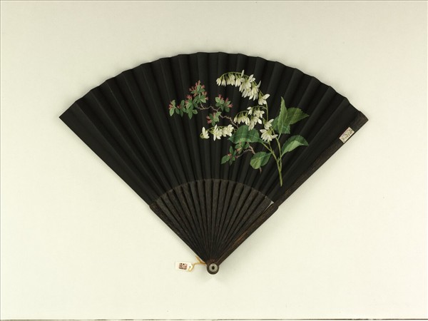 清倪承寬書趙孟頫雪賦帖清人畫花卉　成扇