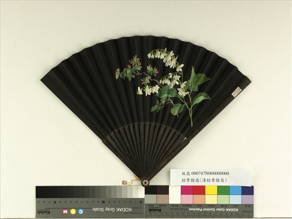 清倪承寬書趙孟頫雪賦帖清人畫花卉　成扇