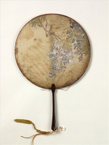 清人紫藤　成扇