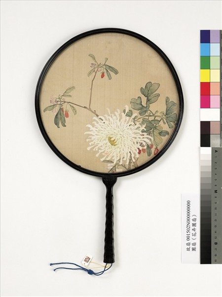 清人菊花　成扇