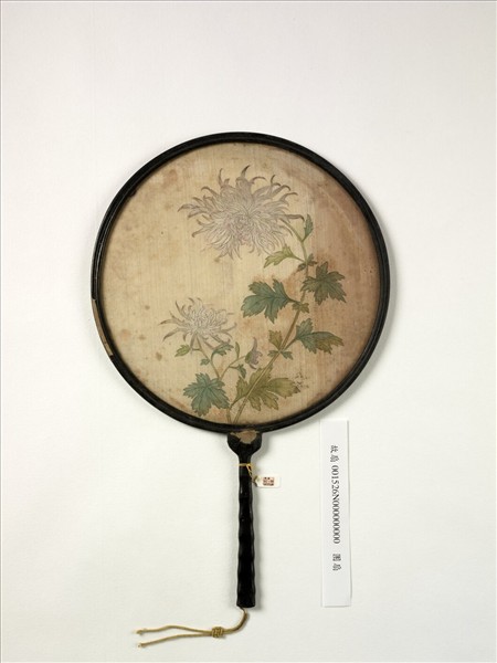 清人畫菊　成扇