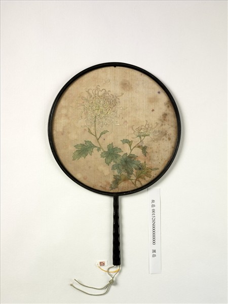 清人畫菊　成扇