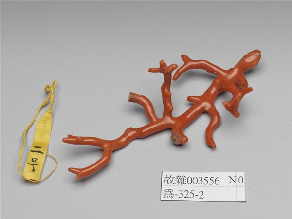 珊瑚枝
