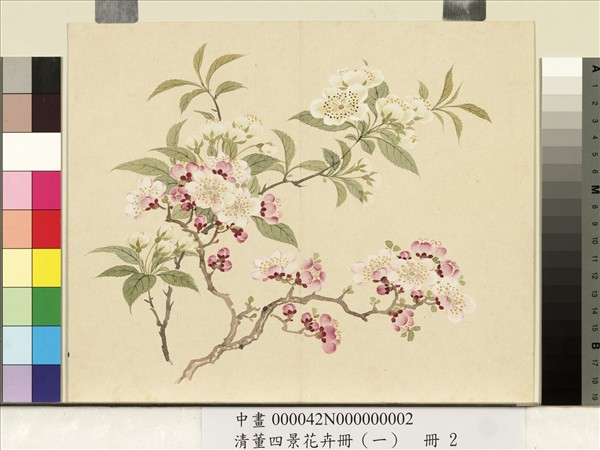 清董誥四景花卉（一）　冊　春景花卉之二