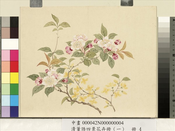 清董誥四景花卉（一）　冊　春景花卉之四