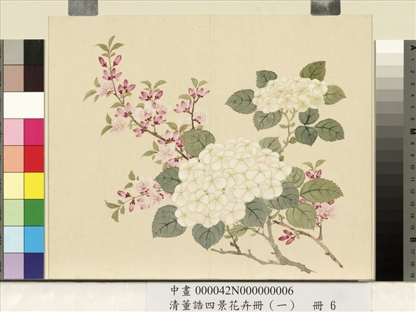 清董誥四景花卉（一）　冊　春景花卉之六