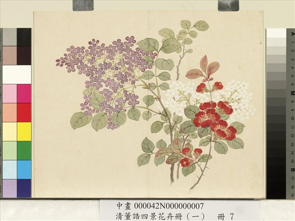 清董誥四景花卉（一）　冊　春景花卉之七