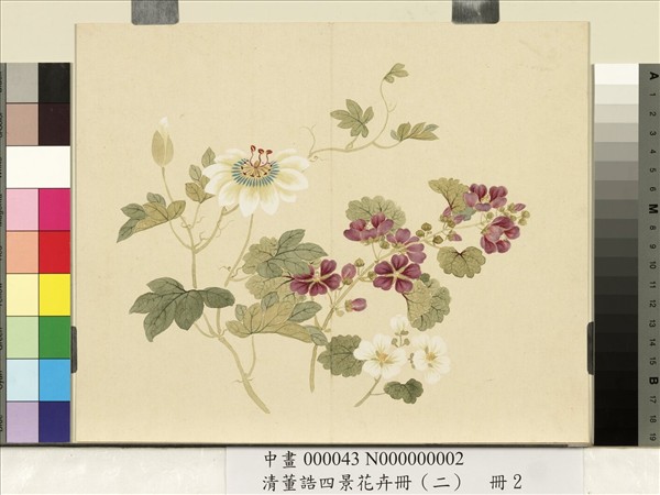 清董誥四景花卉冊（二）　冊　夏景花卉之二