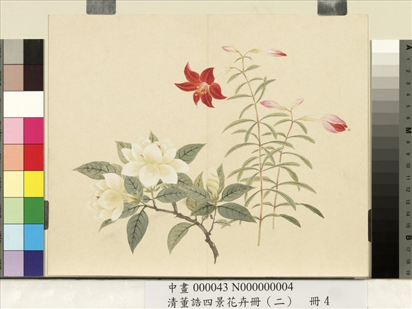 清董誥四景花卉冊（二）　冊　夏景花卉之四