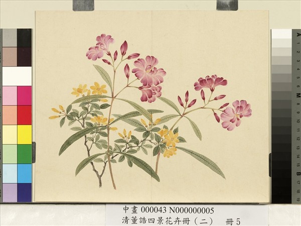 清董誥四景花卉冊（二）　冊　夏景花卉之五