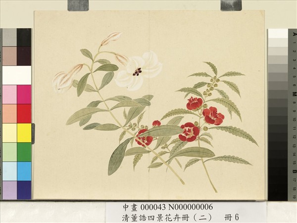 清董誥四景花卉冊（二）　冊　夏景花卉之六