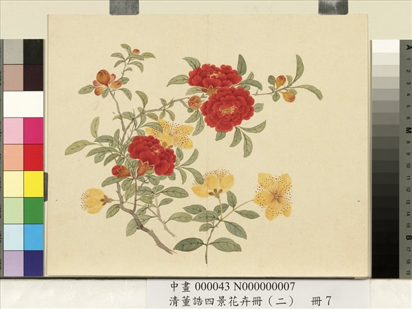 清董誥四景花卉冊（二）　冊　夏景花卉之七