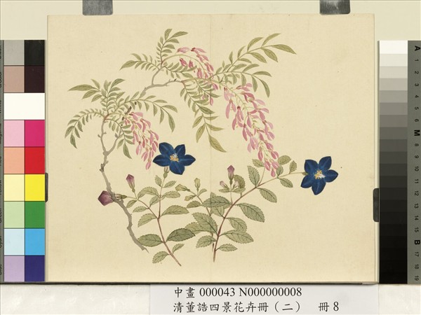 清董誥四景花卉冊（二）　冊　夏景花卉之八